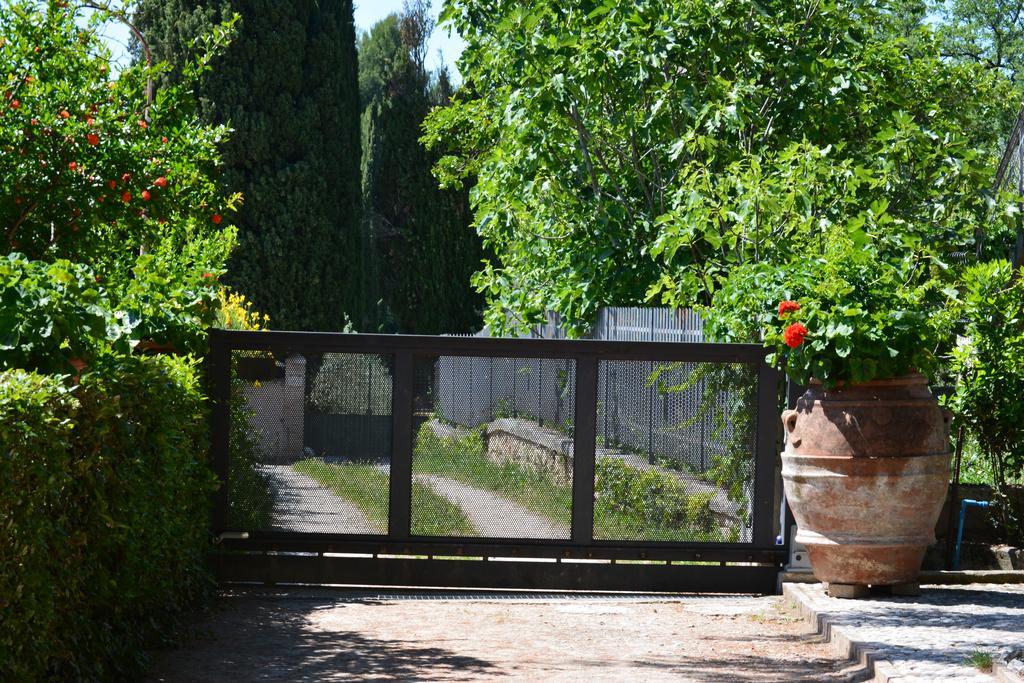 B&B Il Giovine Campello sul Clitunno Buitenkant foto